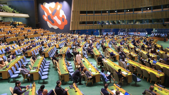 Generalna skupština UN