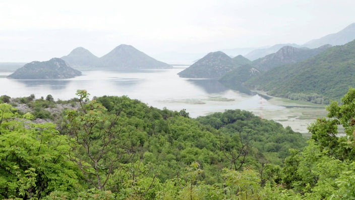 Pogled na Skadarsko jezero