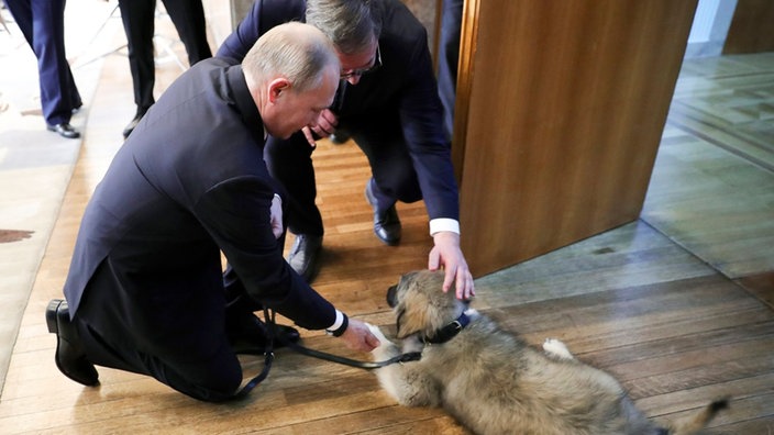 Putin i Vučić sa psom