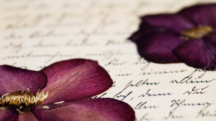 Auf einem handschriftlichen Brief liegen getrocknete Blüten.