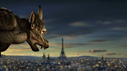 Ein Gargoyle schaut über Paris.