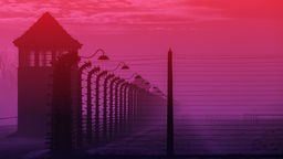 Illustration: WDR Hörspiel-Podcast "Dunkle Seelen": Der Wachturm und die Stacheldrahtzäune des KZ Auschwitz sind mit einem dunklen lila-rot hinterlegt.