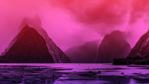 WDR Hörspiel-Podcast "Erdsee": Morastige, mit Sumpfgras bewachsene Küste unter Gewitterwolken, das Bild ist rot und lila hinterlegt.