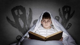 Ein Junge liest unter einer Decke Gruselgeschichten. 