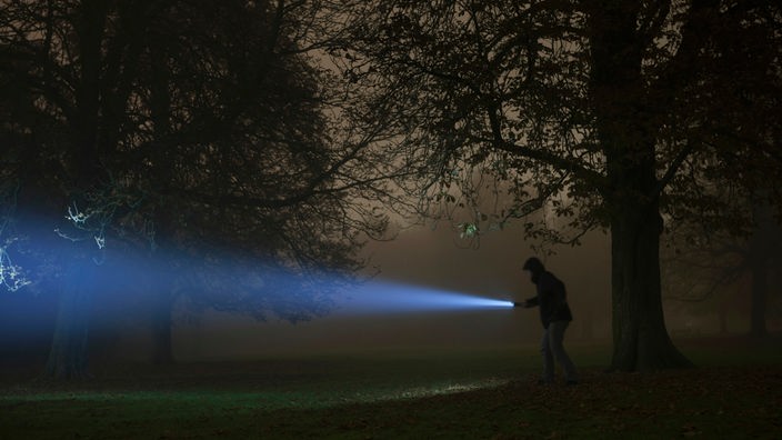 Eine Person leuchtet im Dunklen der Nacht mit einer Taschenlampe in einen Wald hinein.