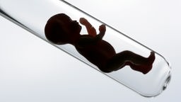 Eine winzige Babypuppe in einem Reagenzglas; Symbolbild für In-Vitro-Fertilisation.