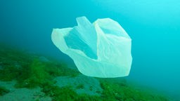 Eine Plastiktüte treibt durch Meerwasser.