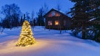 Weihnachtsbaum draußen