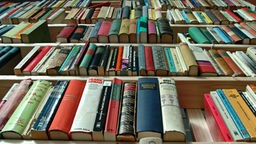 volles Bücherregal mit verschiedenen Büchern