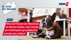 Ein Hund liegt in einem Büro auf dem Boden; Schriftzug: Wie viel Prozent der Menschen finden, dass Hunde am Arbeitsplatz grundsätzlich erlaubt sein sollten?