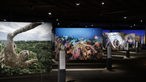 Die Ausstellung "Das zerbrechliche Paradies" zeigt unter anderem beeindruckende und extrem großformatige Panorama-Fotografien von Flora und Fauna rund um den Globus. 