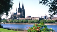 Blick vom Kölner Rheinpark auf den Rhein und den Dom