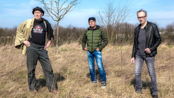 Die drei Mitglieder von BongGong blau stehen auf einem Feld vor einem kahlen Baum.