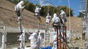 Bodenproben in Fukushima - Plutonium im Erdreich versickert 