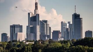 Die Skyline der Stadt Frankfurt mit zahlreichen Bankenhochhäusern, aufgenommen am 15. Juni 2016