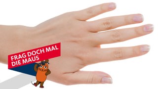 Hände einer Frau mit unlackierten Fingernägeln