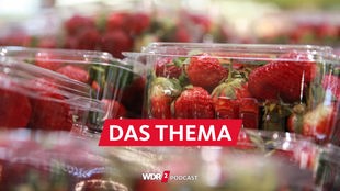 Erdbeeren in Plastikschälchen im Supermarkt