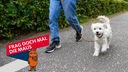 Ein angeleinter kleiner Hund wird auf einem Gehweg spazieren geführt