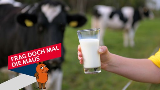Eine Hand hält ein Glas mit Milch hoch, im Hintergrund Kühe auf einer Weide