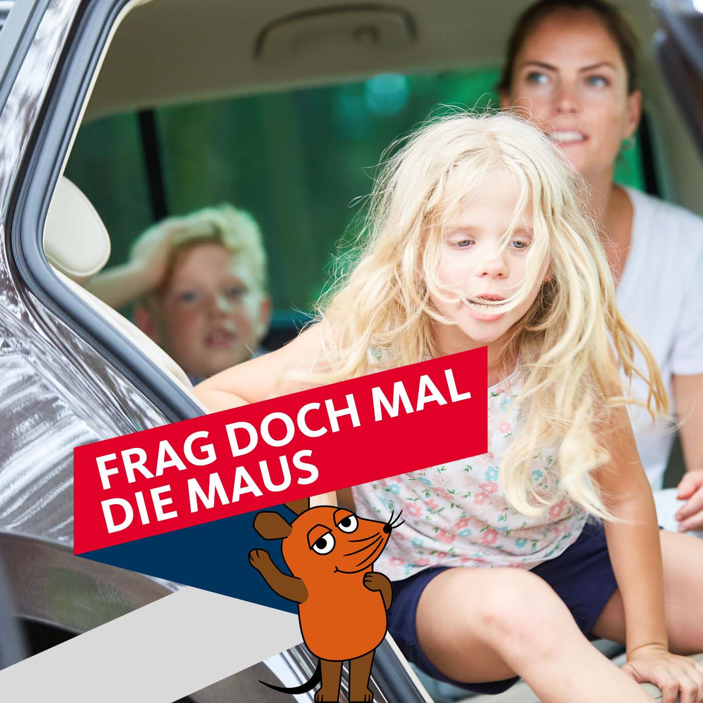 WDR 2 Frag doch mal die Maus: Warum knabbern Marder an Autokabeln