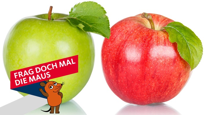 Ein grüner und ein roter Apfel