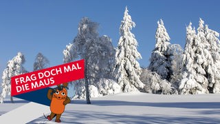Tief verschneite Winterlandschaft im Sauerland