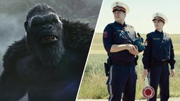 Szenen aus den Filmen "Godzilla x Kong: The New Empire" und "Andrea lässt sich scheiden"