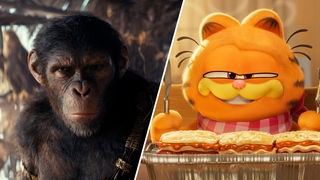 Szenen aus den Filmen "Planet der Affen: New Kingdom" und "Garfield - eine extra Portion Abenteuer"