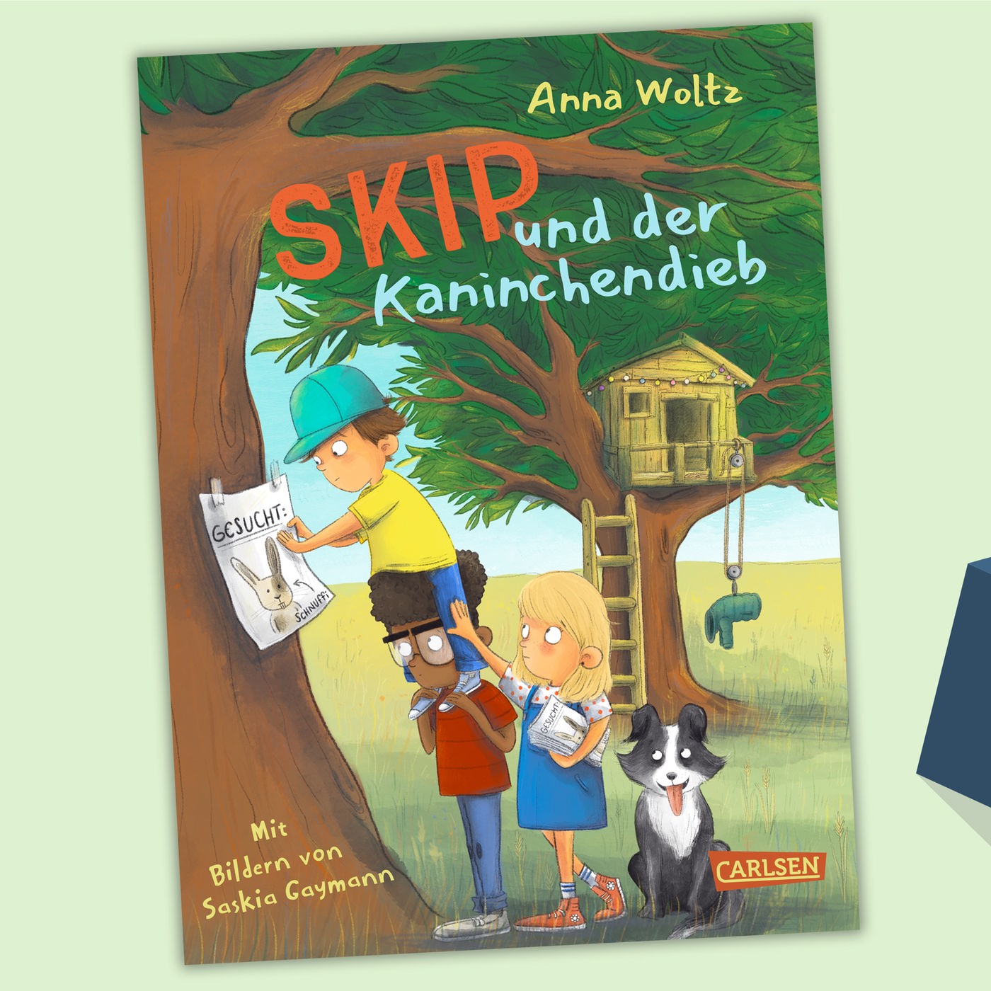 Anna Woltz/Saskia Gaymann - Skip und der Kaninchendieb