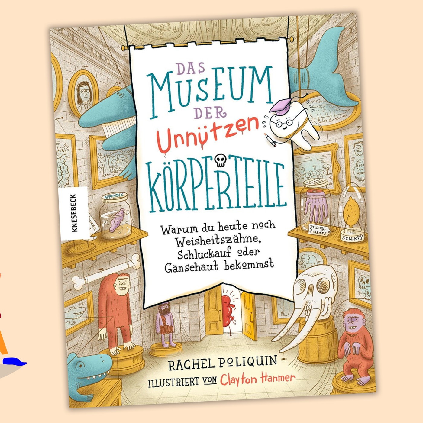 Rachel Poliquin - Das Museum der unnützen Körperteile