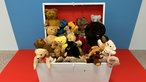 Bundeskunsthalle Bonn, Ausstellung "Mark Dion - Delirious Toys": "Teddy Bear Box"