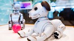  Computermuseum Paderborn: Roboterhund "Aibo"