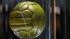 Deutsches Fußballmuseum Dortmund: Der Endspielball der WM 1954