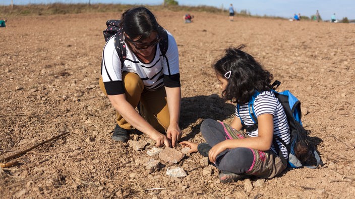 Eine Mutter und ihr Kind suchen auf dem Fossiliensammler in Nettersheim nach versteinerten Korallen, Stromatoporen, Brachiopoden und Seelilien.