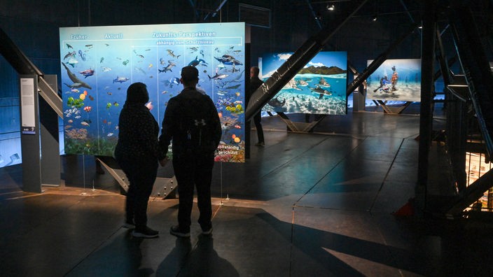 Ausstellung "Planet Ozean" im Gasometer Oberhausen