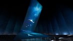 Ausstellung "Planet Ozean": Projektion eines Hais unter Wasser