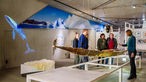 Grönland-Ausstellung im Neanderthal Museum