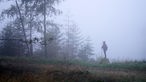 Kind im Wald bei Nebel