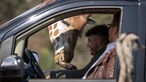 Markus Köchling, zoologischer Leiter vom Safariland Stukenbrock, füttert eine Giraffe aus einem Fahrzeug heraus