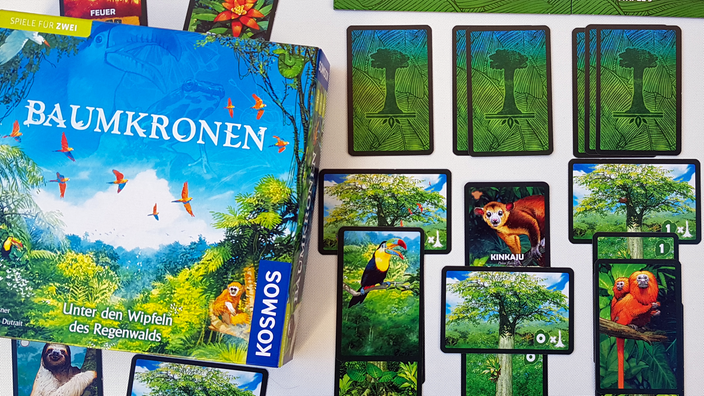 Die Spieleschachte von Baumkronen zeigt einen üppig-grünen Regenwald unter blauem Himmel, daneben Spielkarten mit Illustrationen von Urwaldbäumen und exotischen Tieren