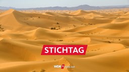 Sanddünen der West-Sahara bei Marokko