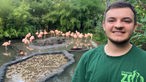 Tierpfleger Jason mit Flamingos im Hintergrund
