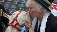 Ziegenbock Johannes als Maskottchen des Wolbecker Karnevals wird von seiner Besitzerin Margarete Peters-Hülsmann geküsst