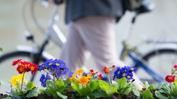 Ein Fahrrad hinter einem blühendem Blumenbeet