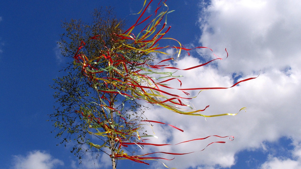 Ein bunt geschmückter Maibaum.