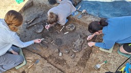 Bayern, Eichendorf: Ein 6800 Jahre altes Skelett ist in Exing in Niederbayern entdeckt worden. 
