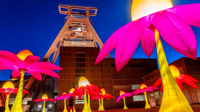 Leuchtende Blumen Illumination an der Zeche Zollverein in Essen