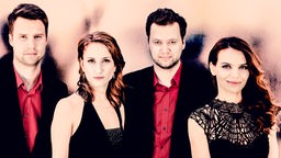 Die Musiker des Armida Quartetts
