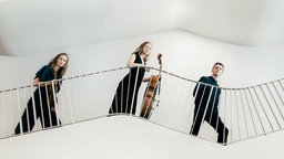 Das Amelio Trio bestehend aus der Violinistin Johanna Schubert, der Cellistin Merle Geißler und dem Pianisten Philipp Kirchner.