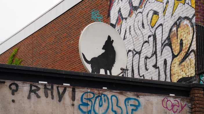 Ein neues Werk des Streetart-Künstlers Banksy zeigt einen Wolf auf einer Satellitenschüssel.